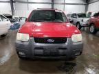 2002 Ford Escape XLT