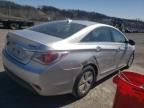 2013 Hyundai Sonata Hybrid