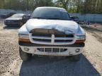 2003 Dodge Dakota Quad Sport