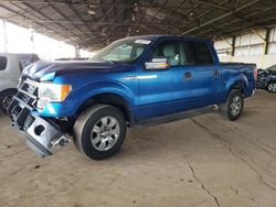 Salvage cars for sale at Phoenix, AZ auction: 2014 Ford F150 Supercrew