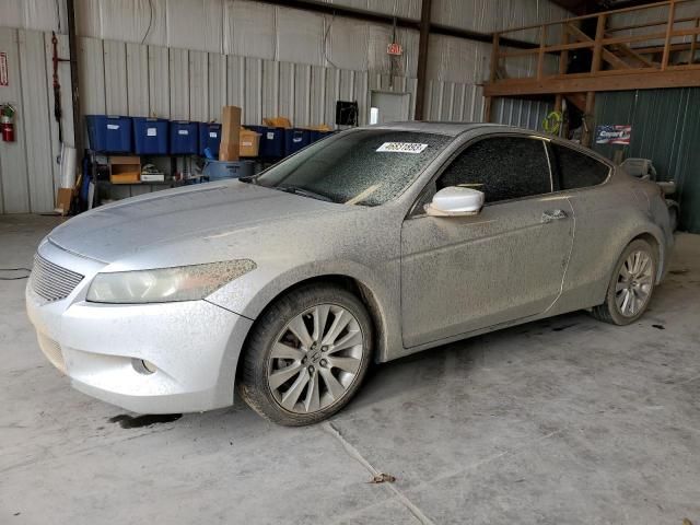 2009 Honda Accord EXL