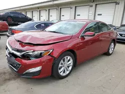 Salvage cars for sale at Louisville, KY auction: 2022 Chevrolet Malibu LT