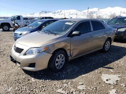 Salvage cars for sale from Copart Magna, UT: 2010 Toyota Corolla Base