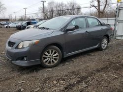 Toyota salvage cars for sale: 2010 Toyota Corolla Base