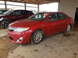 Toyota salvage cars for sale: 2014 Toyota Camry Hybrid