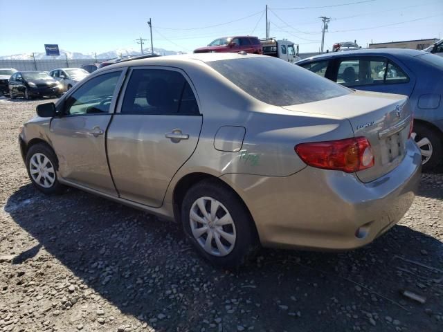 2010 Toyota Corolla Base