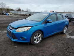 Salvage cars for sale at Columbia Station, OH auction: 2014 Ford Focus SE