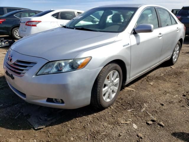 2008 Toyota Camry Hybrid