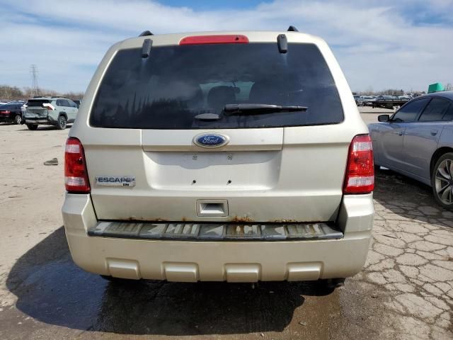 2011 Ford Escape XLT