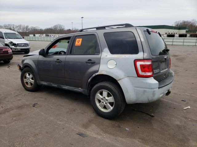 2010 Ford Escape XLT