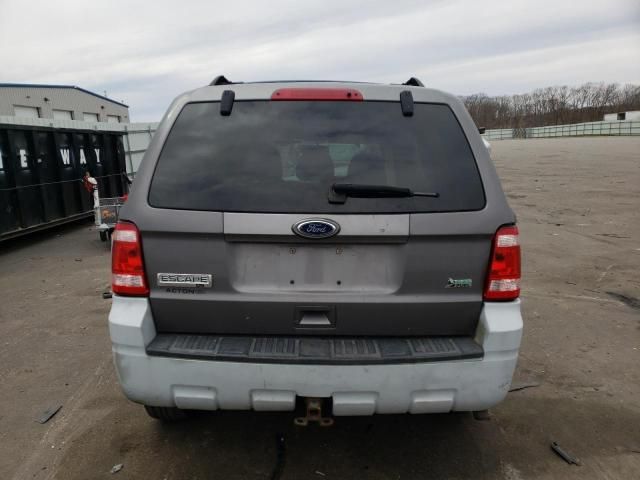 2010 Ford Escape XLT