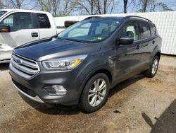 Salvage cars for sale at Bridgeton, MO auction: 2019 Ford Escape SEL