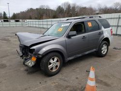 Ford Escape salvage cars for sale: 2010 Ford Escape XLT