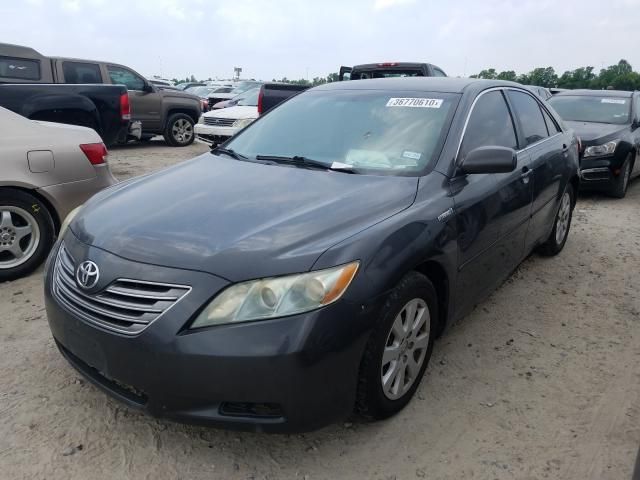 2009 Toyota Camry Hybrid