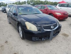 Salvage cars for sale at Houston, TX auction: 2007 Nissan Maxima SE
