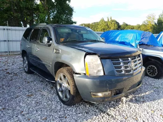 2009 Cadillac Escalade Hybrid