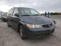 Salvage cars for sale from Copart Madisonville, TN: 2003 Honda Odyssey EX