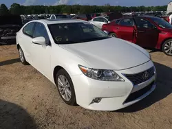 Salvage cars for sale at Conway, AR auction: 2014 Lexus ES 350