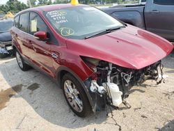 Salvage cars for sale from Copart Haslet, TX: 2013 Ford Escape SEL