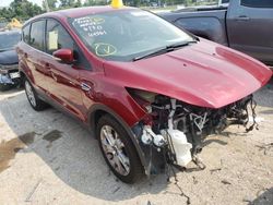 Salvage cars for sale from Copart Houston, TX: 2013 Ford Escape SEL