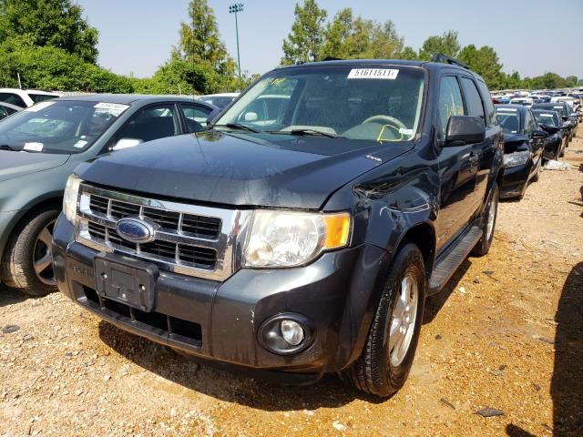 2008 Ford Escape XLT