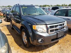 Salvage cars for sale from Copart Bridgeton, MO: 2008 Ford Escape XLT