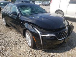Cadillac salvage cars for sale: 2021 Cadillac CT4 Luxury