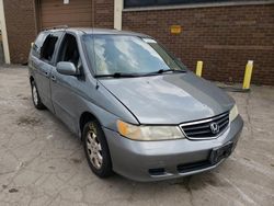 Salvage cars for sale from Copart Rocky View County, AB: 2002 Honda Odyssey EXL