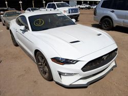 Flood-damaged cars for sale at auction: 2019 Ford Mustang