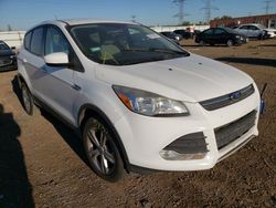 Ford salvage cars for sale: 2013 Ford Escape SE