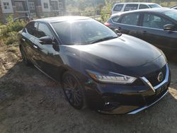 Salvage cars for sale at Mcfarland, WI auction: 2019 Nissan Maxima S