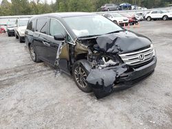 Salvage cars for sale from Copart York Haven, PA: 2013 Honda Odyssey EXL