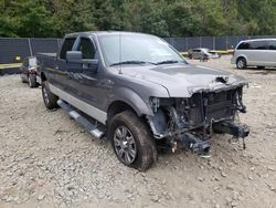 Salvage cars for sale at Waldorf, MD auction: 2009 Ford F150 Supercrew