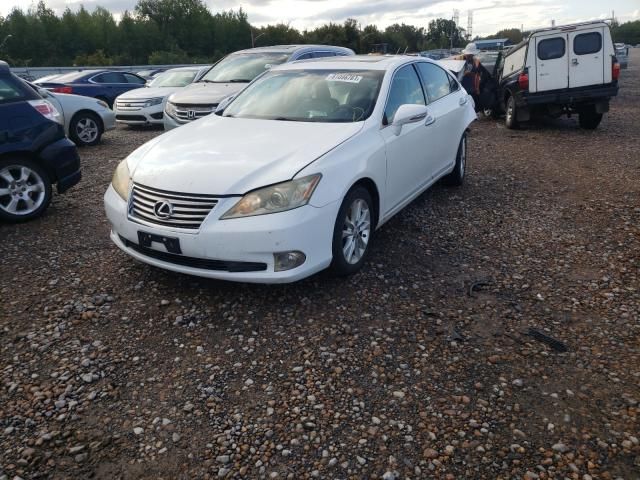 2010 Lexus ES 350