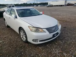 Lexus ES 350 salvage cars for sale: 2010 Lexus ES 350