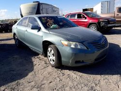 Salvage cars for sale at Tucson, AZ auction: 2009 Toyota Camry Base