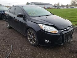 Salvage cars for sale at Columbia Station, OH auction: 2014 Ford Focus SE