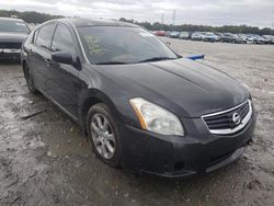 Nissan Maxima salvage cars for sale: 2007 Nissan Maxima SE