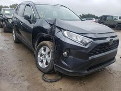 Toyota rav4 salvage cars for sale: 2019 Toyota Rav4 XLE