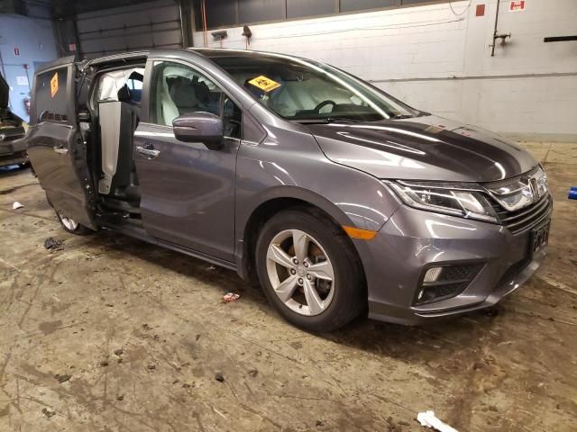 2019 Honda Odyssey EXL