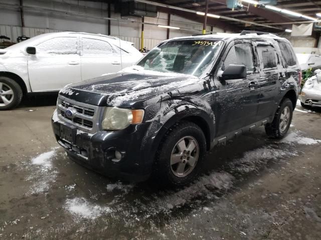 2011 Ford Escape XLT