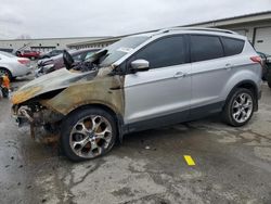 Ford Escape Titanium salvage cars for sale: 2014 Ford Escape Titanium