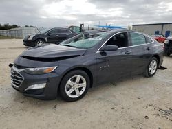 Salvage cars for sale at Arcadia, FL auction: 2023 Chevrolet Malibu LT