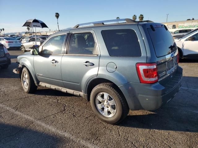 2010 Ford Escape Hybrid