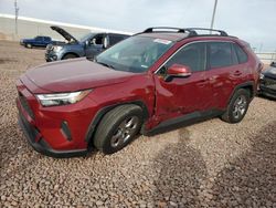 Vehiculos salvage en venta de Copart Phoenix, AZ: 2023 Toyota Rav4 XLE
