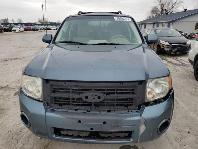 2011 Ford Escape Limited