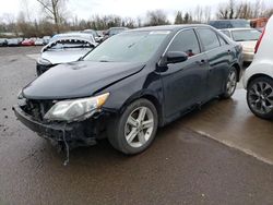 Salvage cars for sale at Woodburn, OR auction: 2014 Toyota Camry L