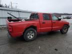 2005 Dodge Dakota Quattro