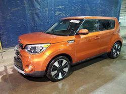 Rental Vehicles for sale at auction: 2019 KIA Soul +