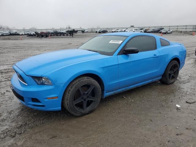 2013 Ford Mustang